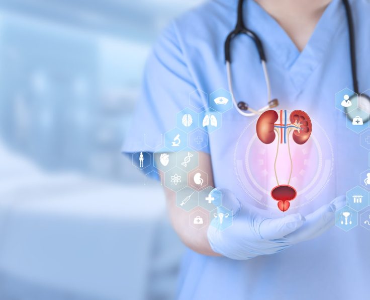 Kidney problems healthcare concept. Doctor analyzes kidneys, bladder and prostate. Nephrologist isolated on light blue background